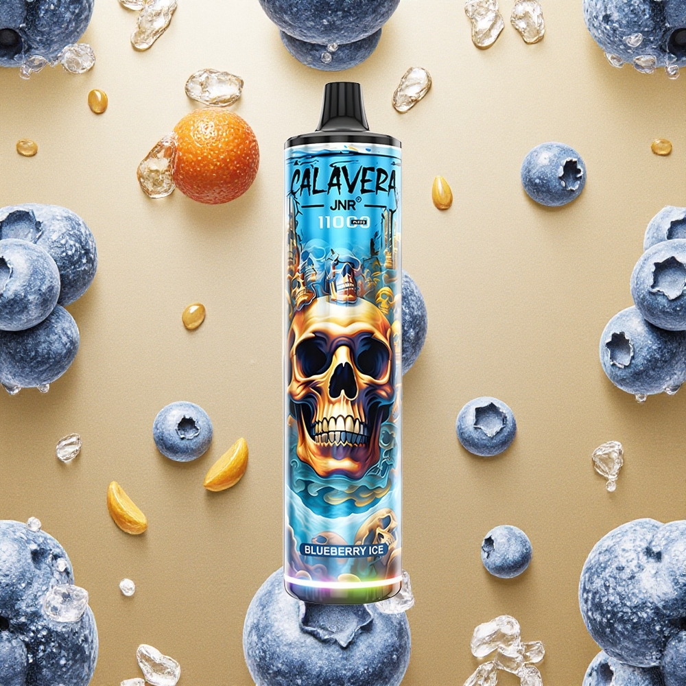 JNR Calavera 11000 Puffs Mirtilo Gelo Porta USB-C Brasil Atacado