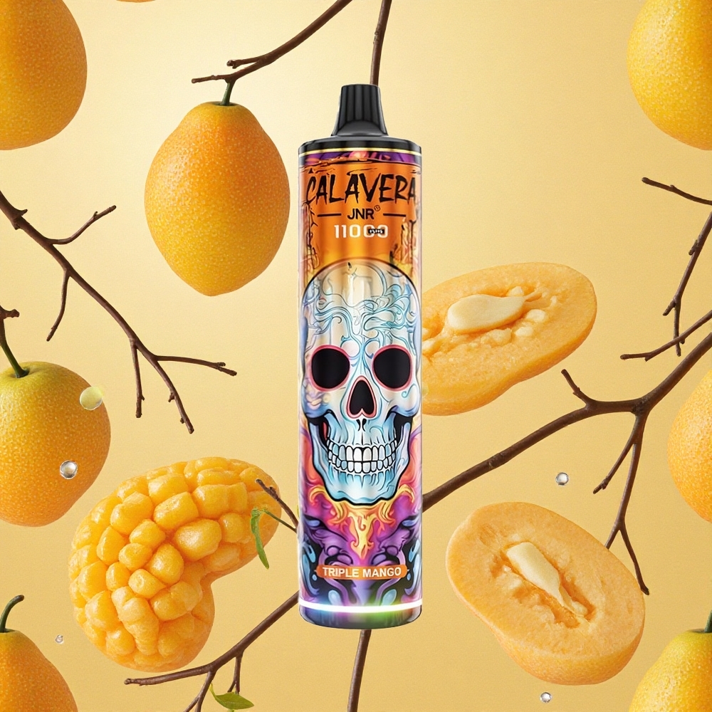 JNR Calavera 11000 Puffs Vape Descartável Manga Tripla 21ml Capacidade de Líquido Brasil Atacado