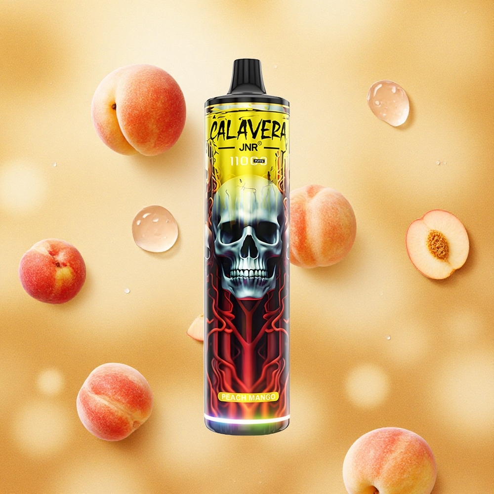 JNR Calavera 11000 Puffs Vape Pêssego Manga Porta Tipo-C Brasil Atacado