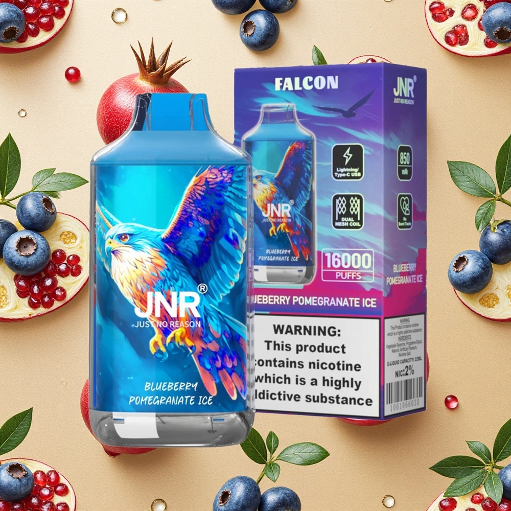 JNR Falcon 16000 Puffs Mirtilo Romã Gelo 850 mAh Brasil Atacado