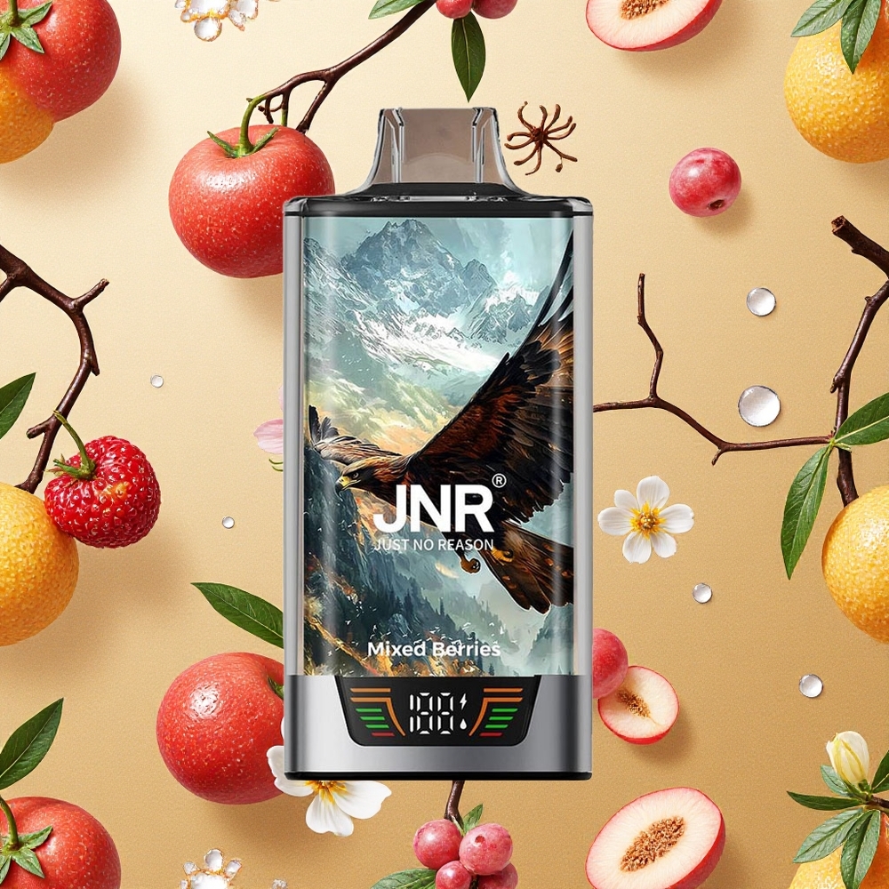 JNR Falcon Pro 28000 Boca Mistas Frutas Vermelhas 30ml Pré-Carregado Brasil Atacado