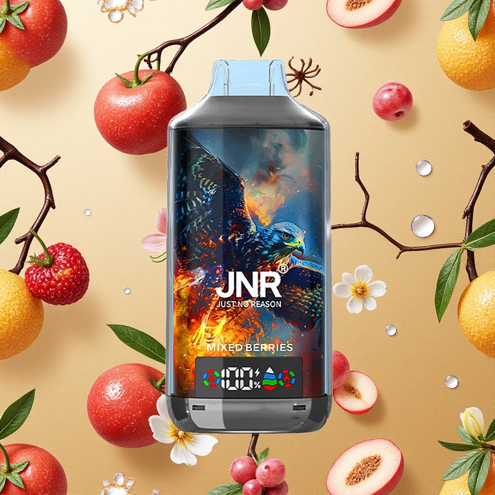 JNR Falcon X 18000 Peças Mistura de Frutas Vermelhas Brasil Atacado