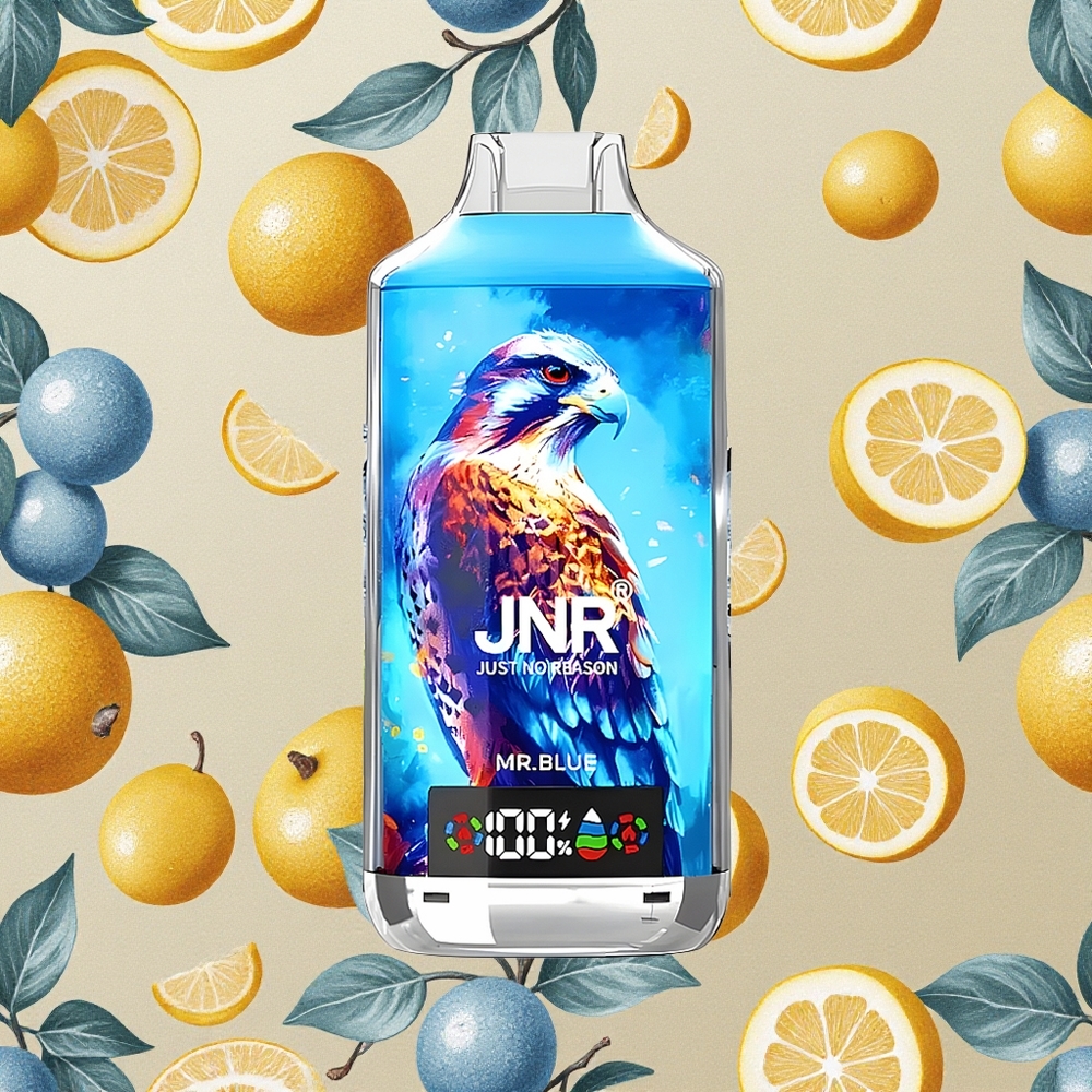 JNR Falcon X 18000 Puffs Azul Sr. Digital Display Brasil Atacado