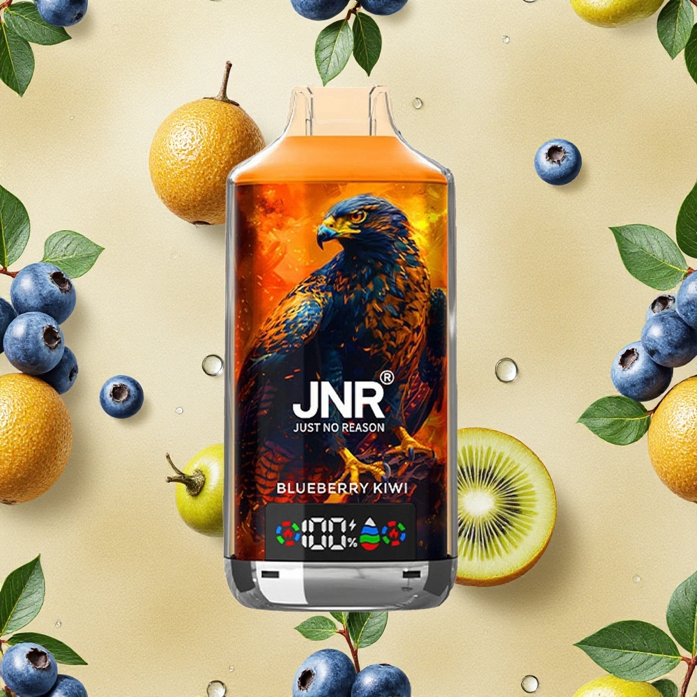 JNR Falcon X 18000 Puffs Mirtilo Kiwi 24ml Brasil Atacado