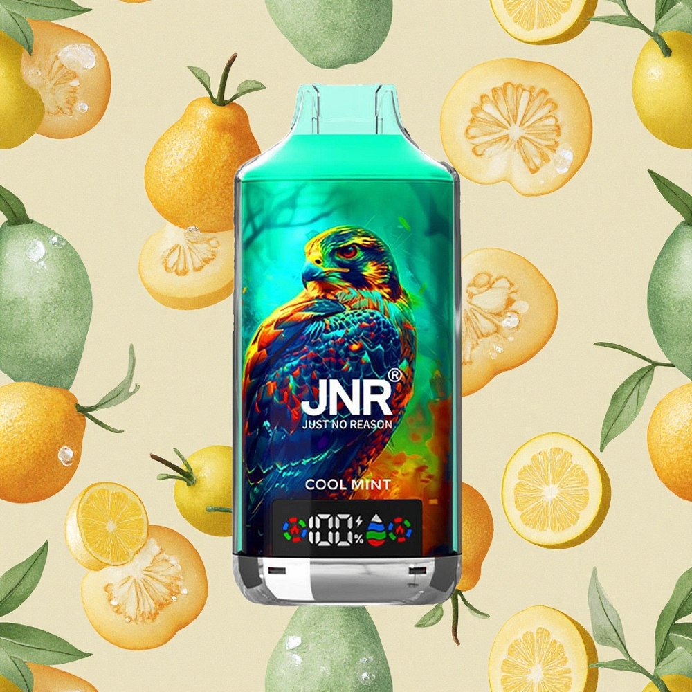 JNR Falcon X 18000 Puffs Sabor Menta Refrescante 750mAh Brasil Atacado