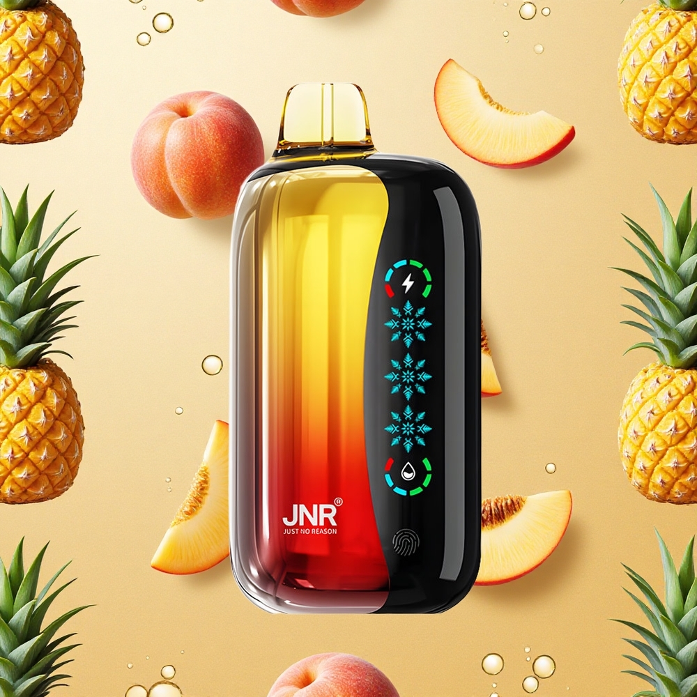 JNR Flex Ice 21000 Puffs Descartável Vape Pêssego Manga Abacaxi Tela Sensível ao Toque Brasil Atacado