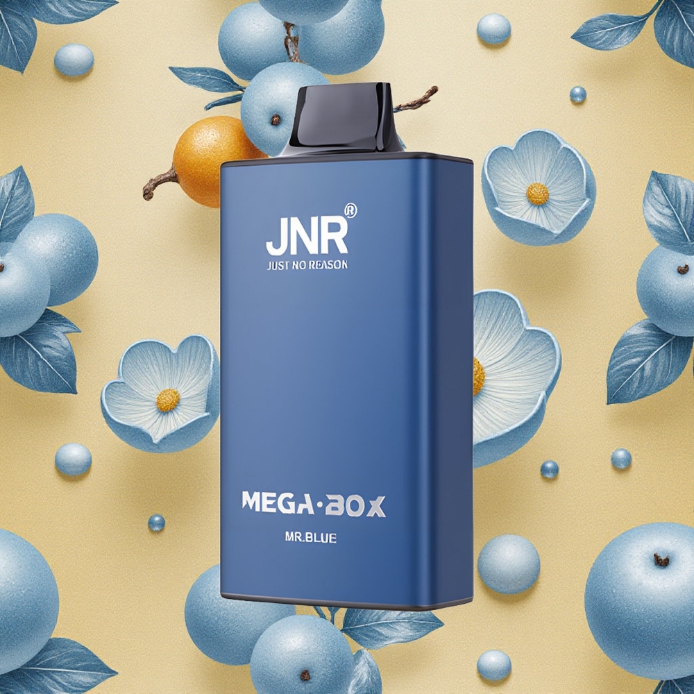 JNR Mega Box 25000 Puffs Azul Sr Vape Descartável Brasil Atacado