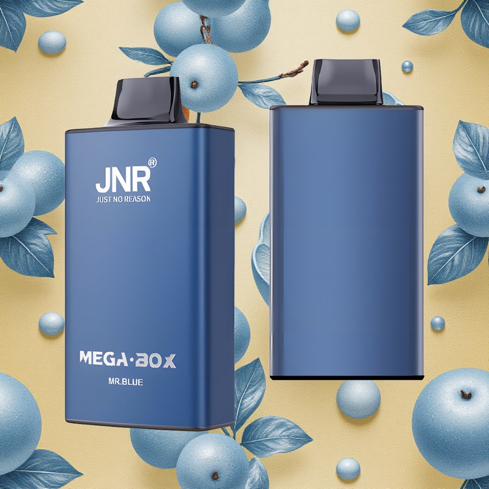 JNR Mega Box 25000 Puffs Azul Sr Vape Descartável Brasil Atacado