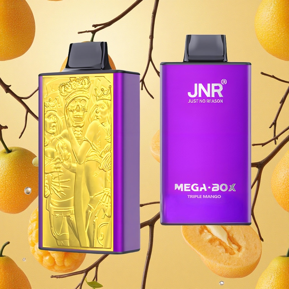JNR Mega Box 25000 Puffs Manga Tripla Tipo-C Carga Rápida Brasil Atacado