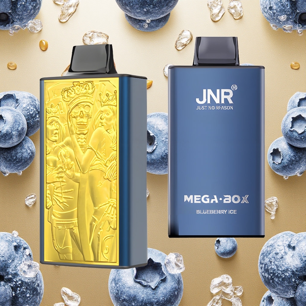 JNR Mega Box 25000 Puffs Mirtilo Gelo Brasil Atacado