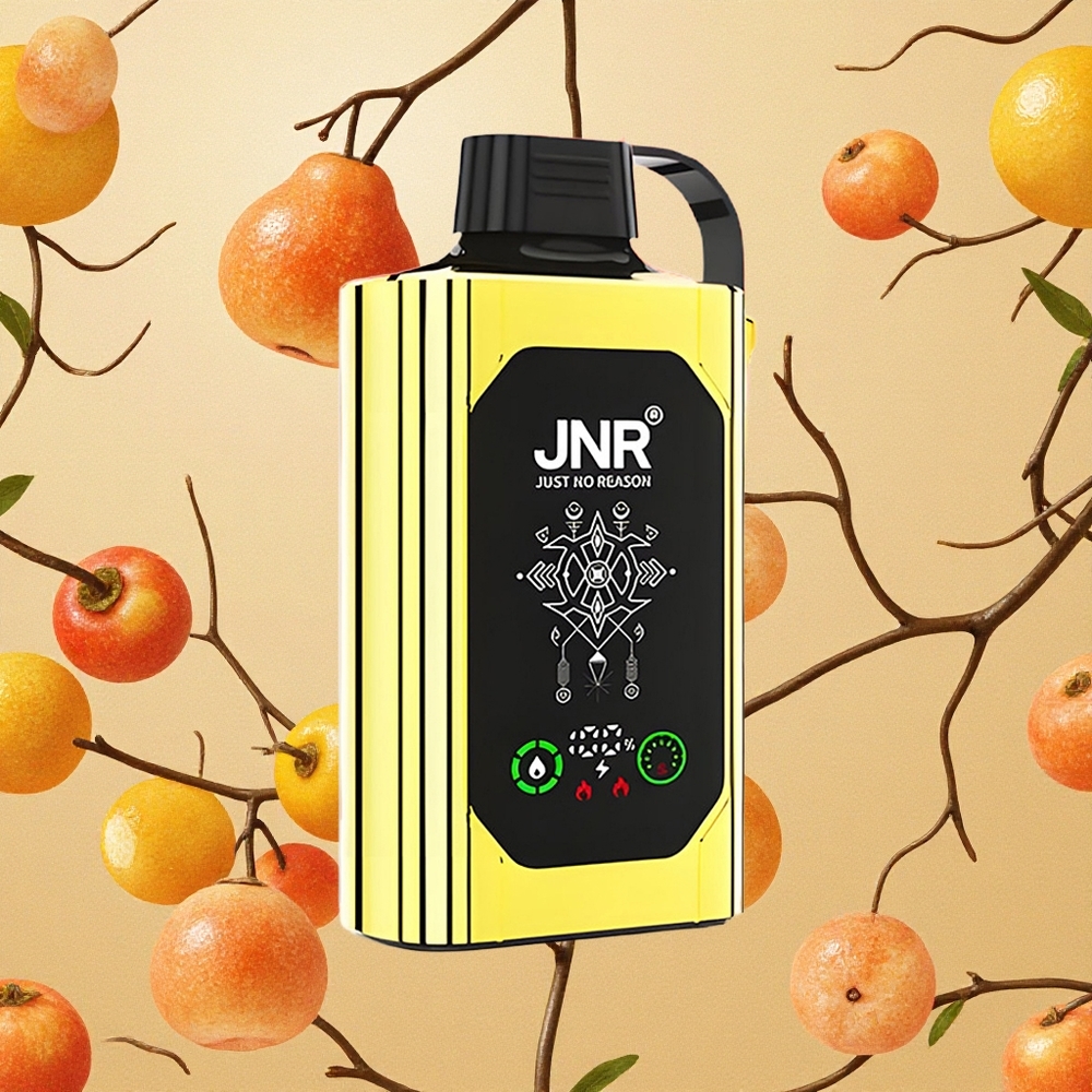 JNR Shisha Hookah Box 20500 Puffs Amor 66 20500 Puffs Dual Mesh Coil & Dual Core Brasil Atacado