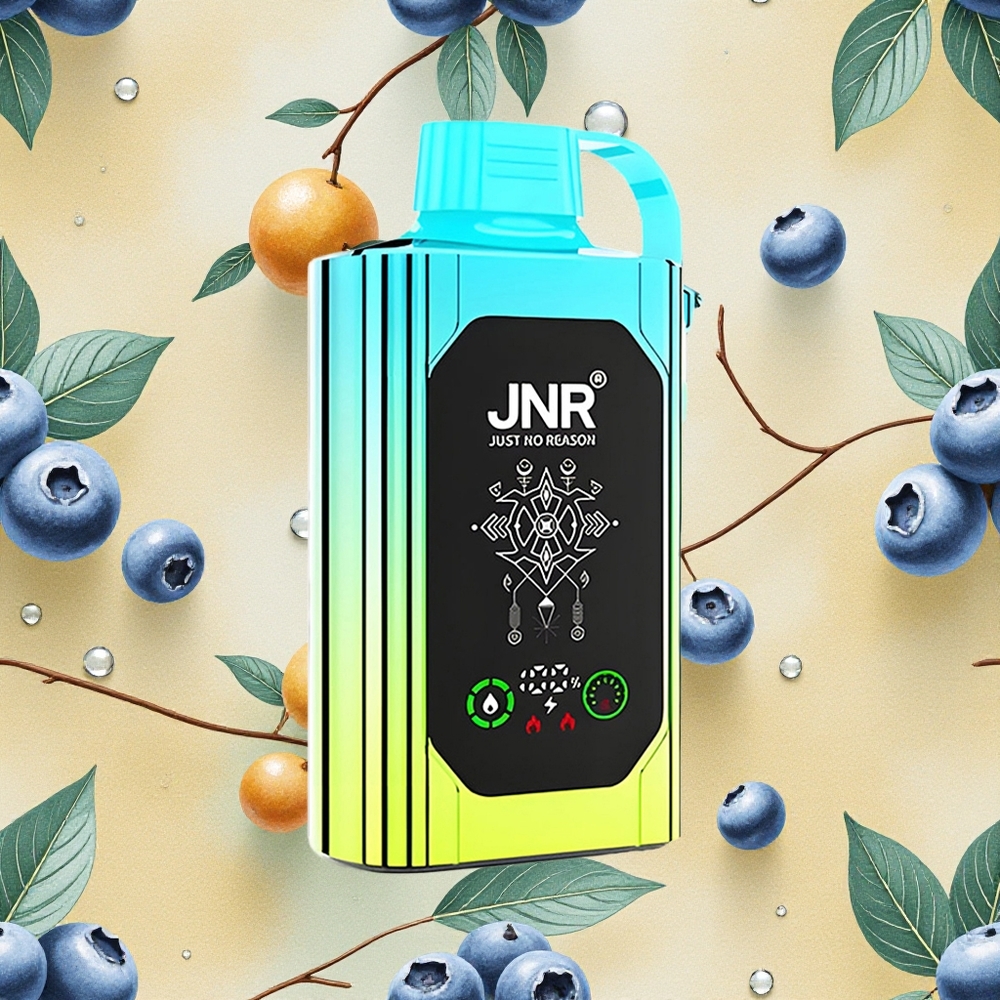 JNR Shisha Hookah Box 20500 Puffs Menta Mirtilo 25ml Dual Mesh Coil & Dual Core Brasil Atacado