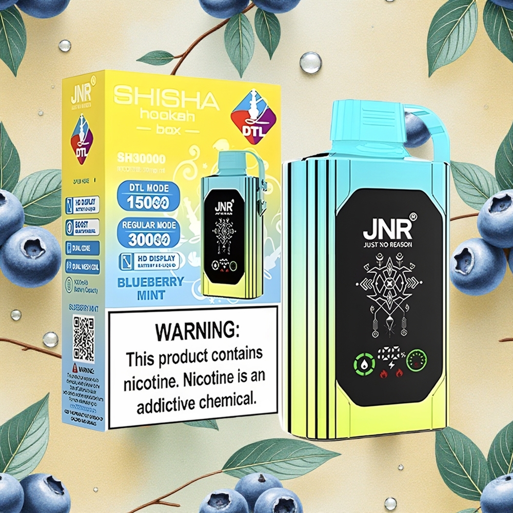JNR Shisha Hookah Box 20500 Puffs Menta Mirtilo 25ml Dual Mesh Coil & Dual Core Brasil Atacado