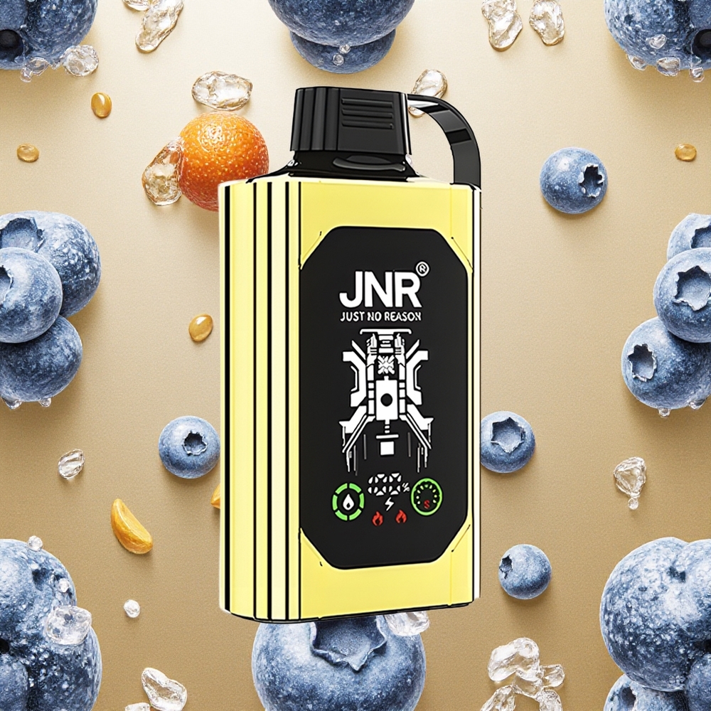JNR Shisha Hookah Box 20500 Puffs Mirtilo Gelo HD Display Brasil Atacado