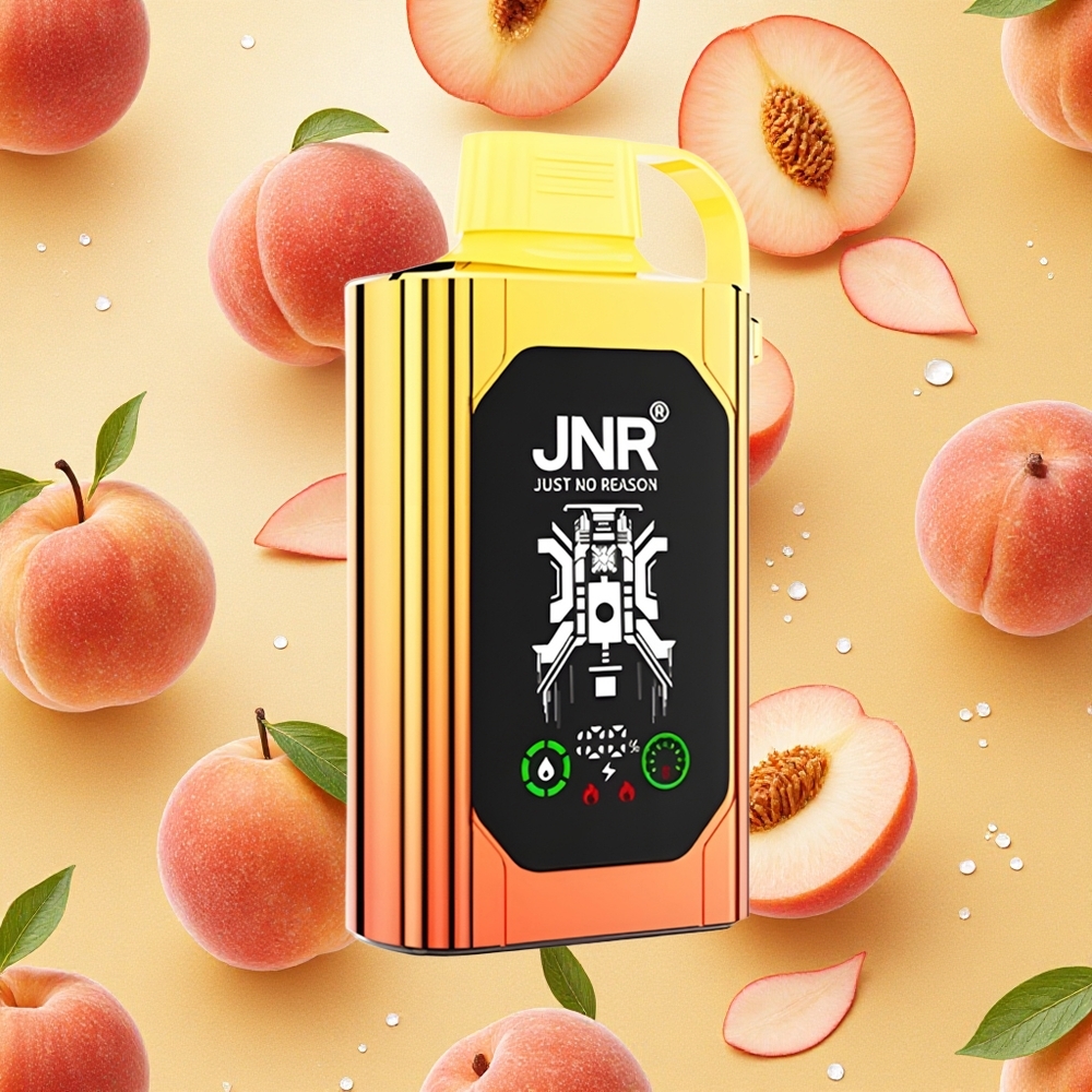 JNR Shisha Hookah Box 20500 Puffs Vape Pêssegos Suculentos 25ml Brasil Atacado