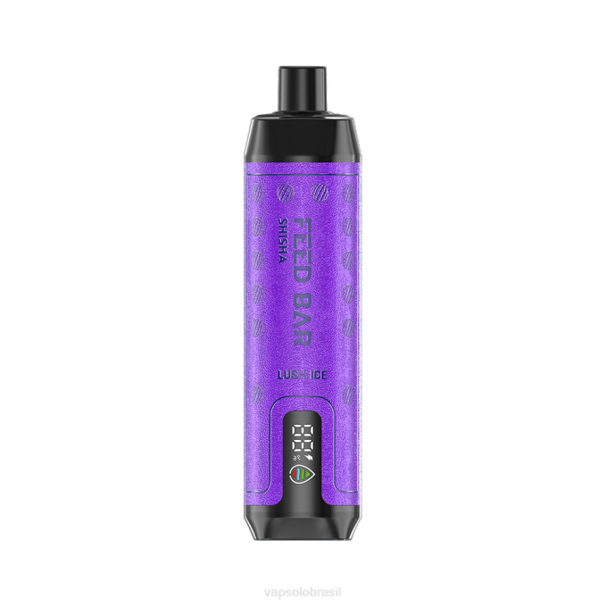 VapSolo SHISHA vaporizador descartável | Vapsolo Brasil X2DR8 gelo exuberante