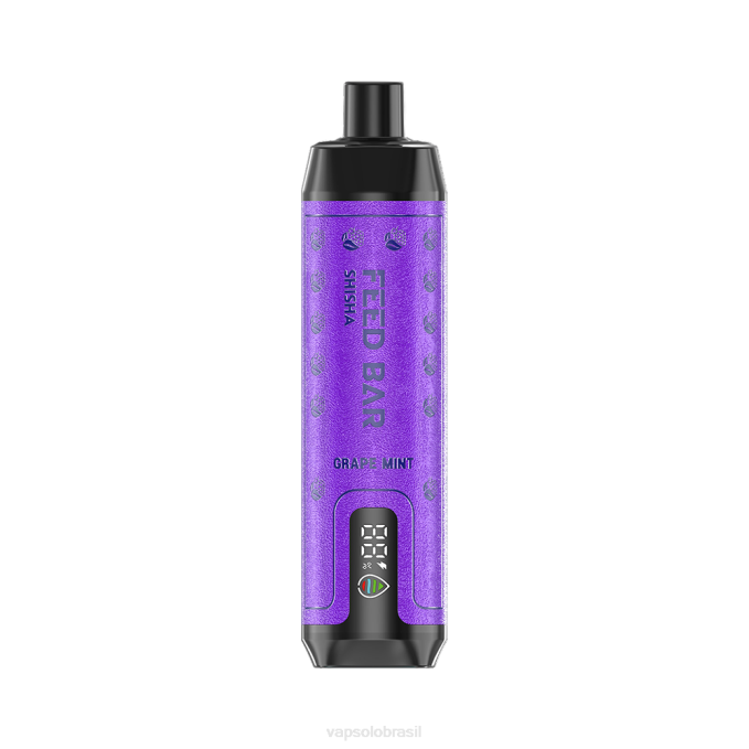 VapSolo SHISHA vaporizador descartável | Vapsolo Review X2DR6 hortelã de uva